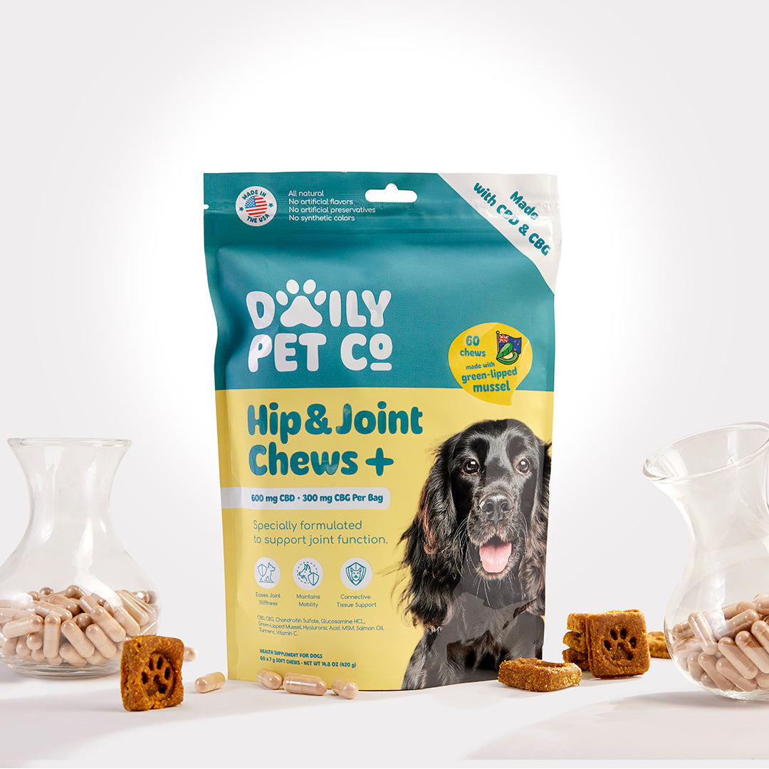 Hip & Joint