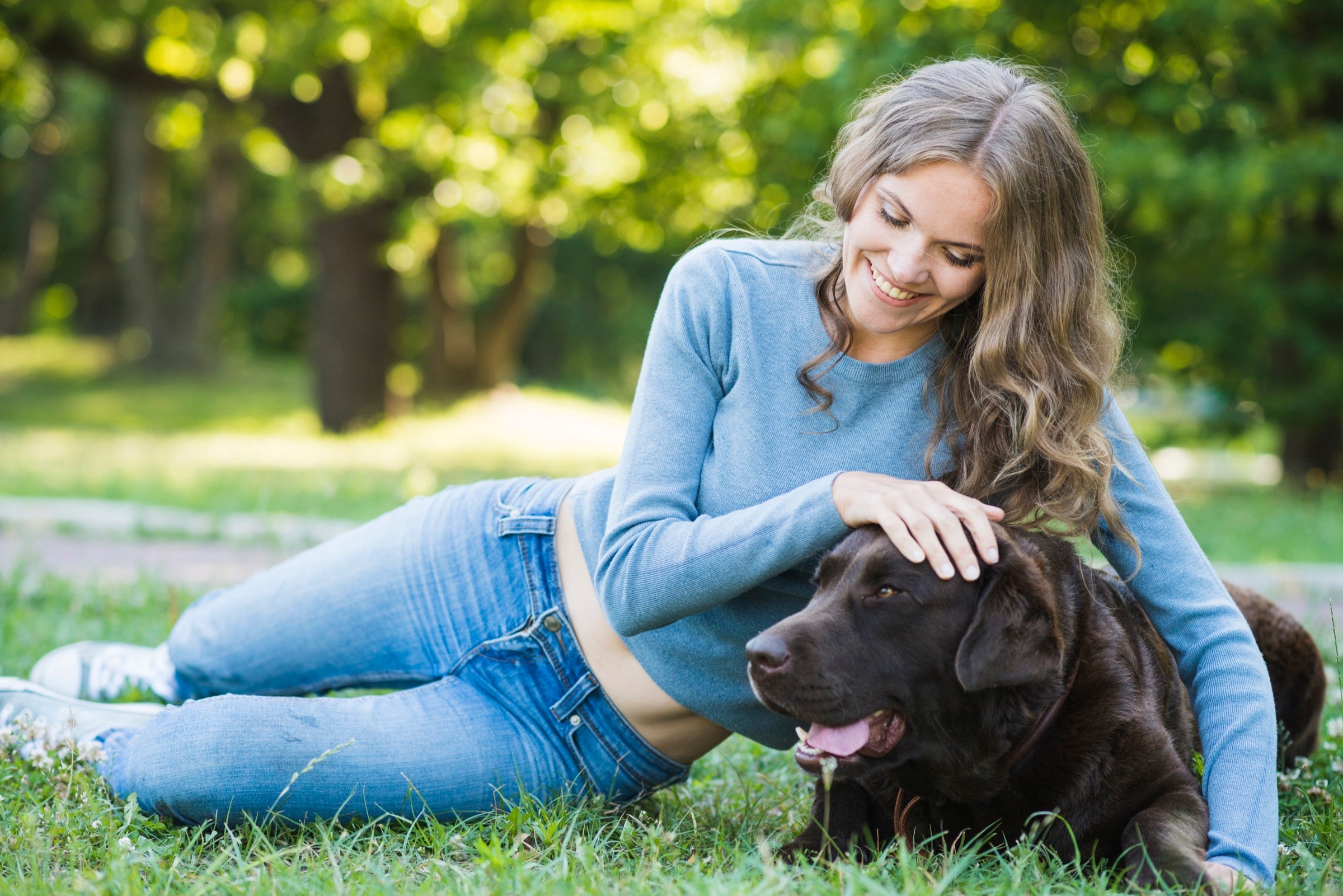 What to Do If Your Furry Friend Gets Out