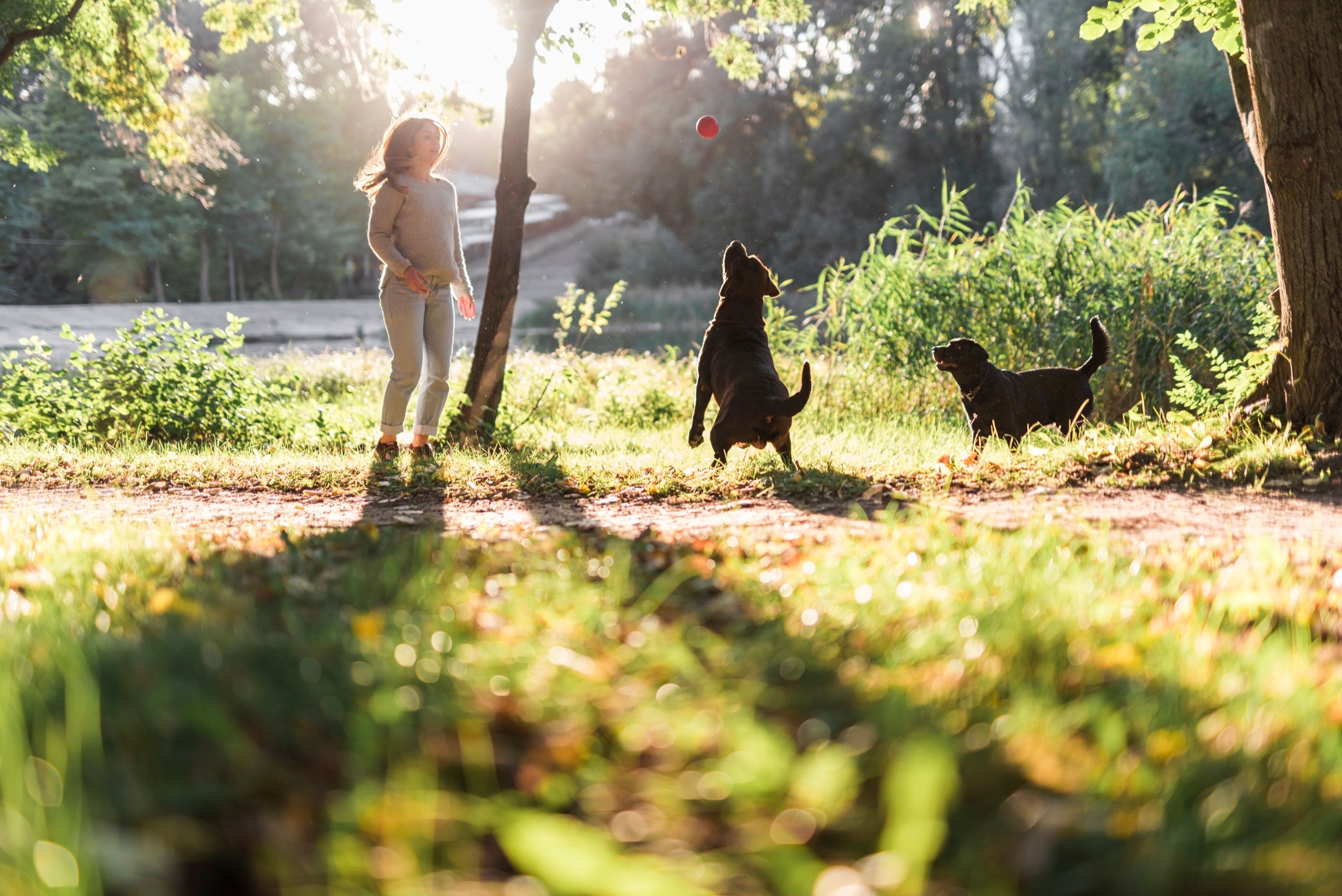 First-Time Tips for Taking Your Dog to the Dog Park