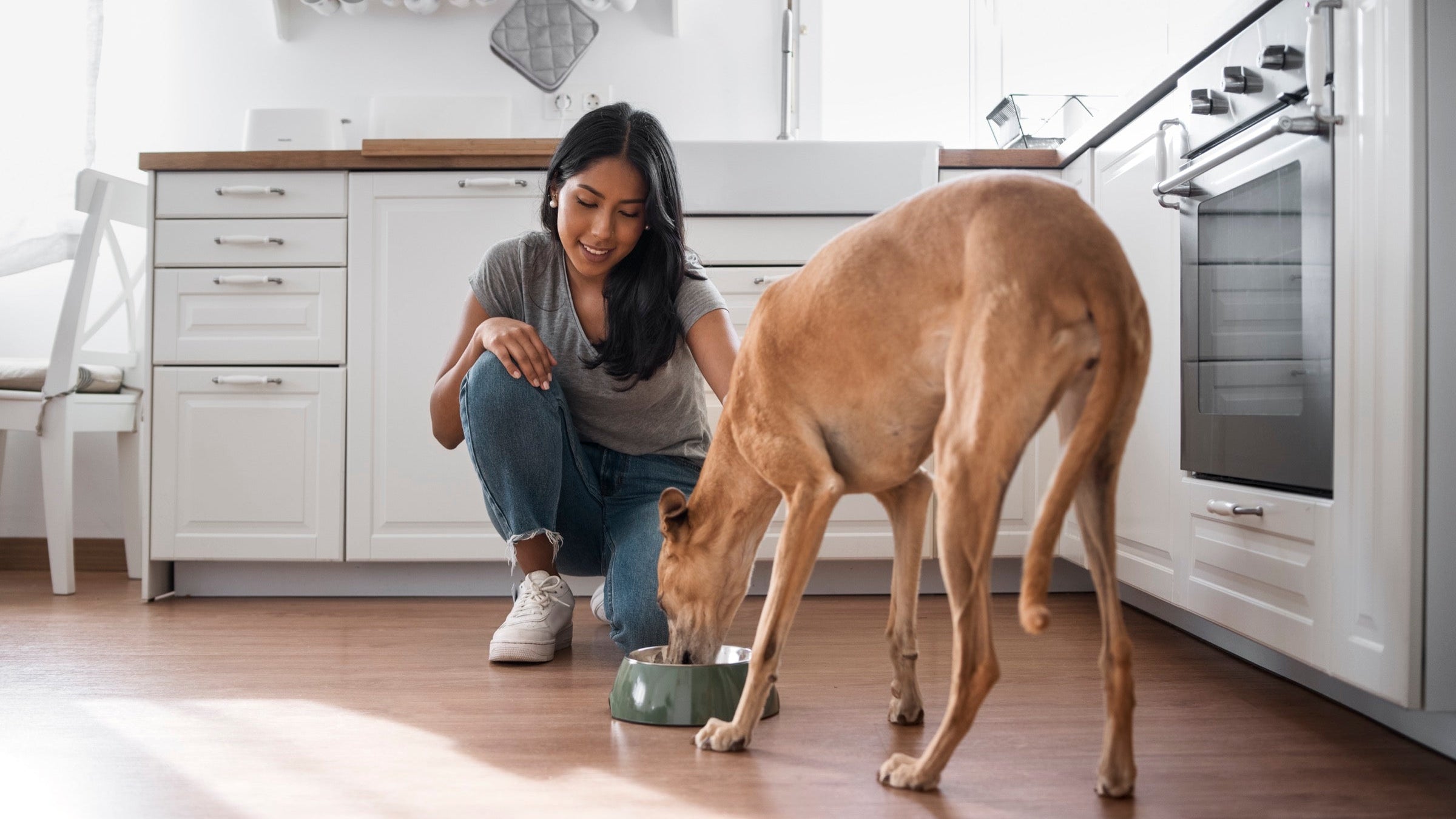 Dog Supplements 101: What's Actually Worth Paying Attention To?