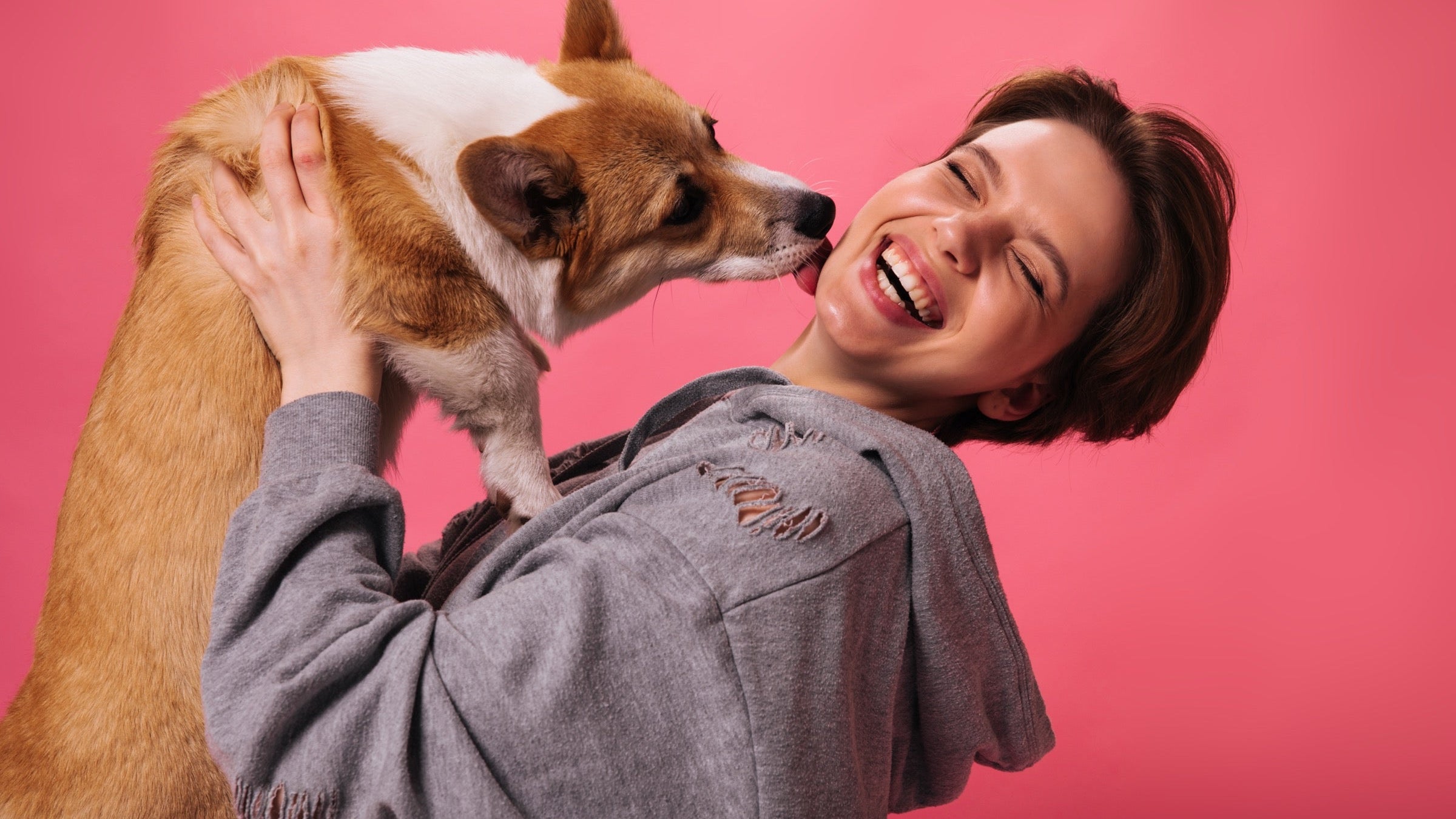 Why Is My Dog Licking So Much? Causes, Signs & What to Do