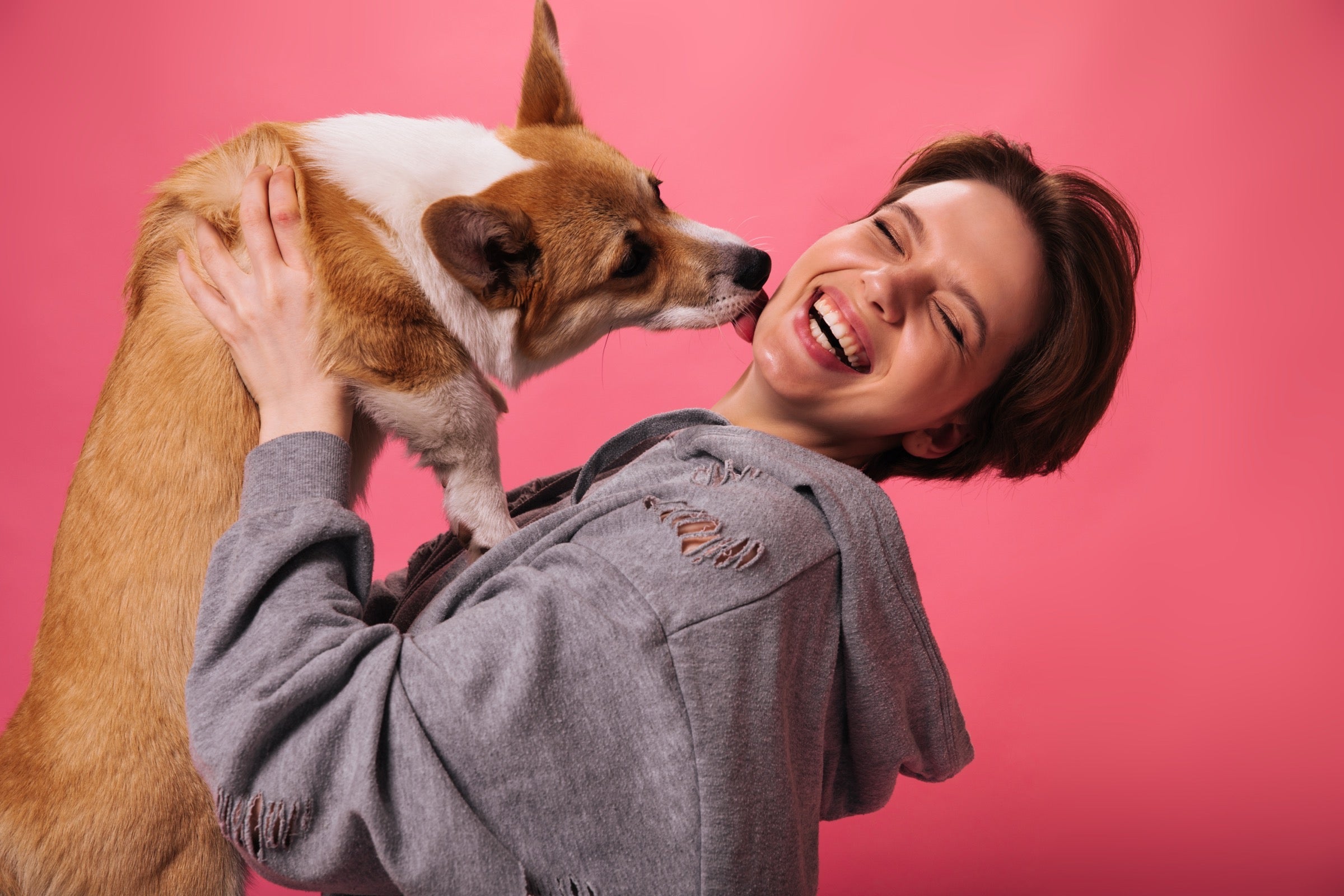 Why Is My Dog Licking So Much? Causes, Signs & What to Do