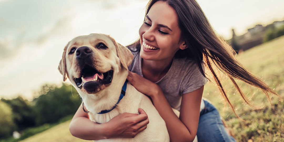 Are CBD Products Safe and Effective for Pets?