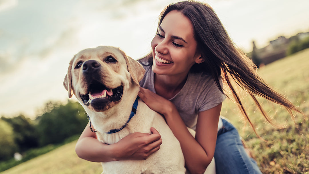 Are CBD Products Safe and Effective for Pets?