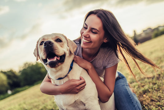 Are CBD Products Safe and Effective for Pets?