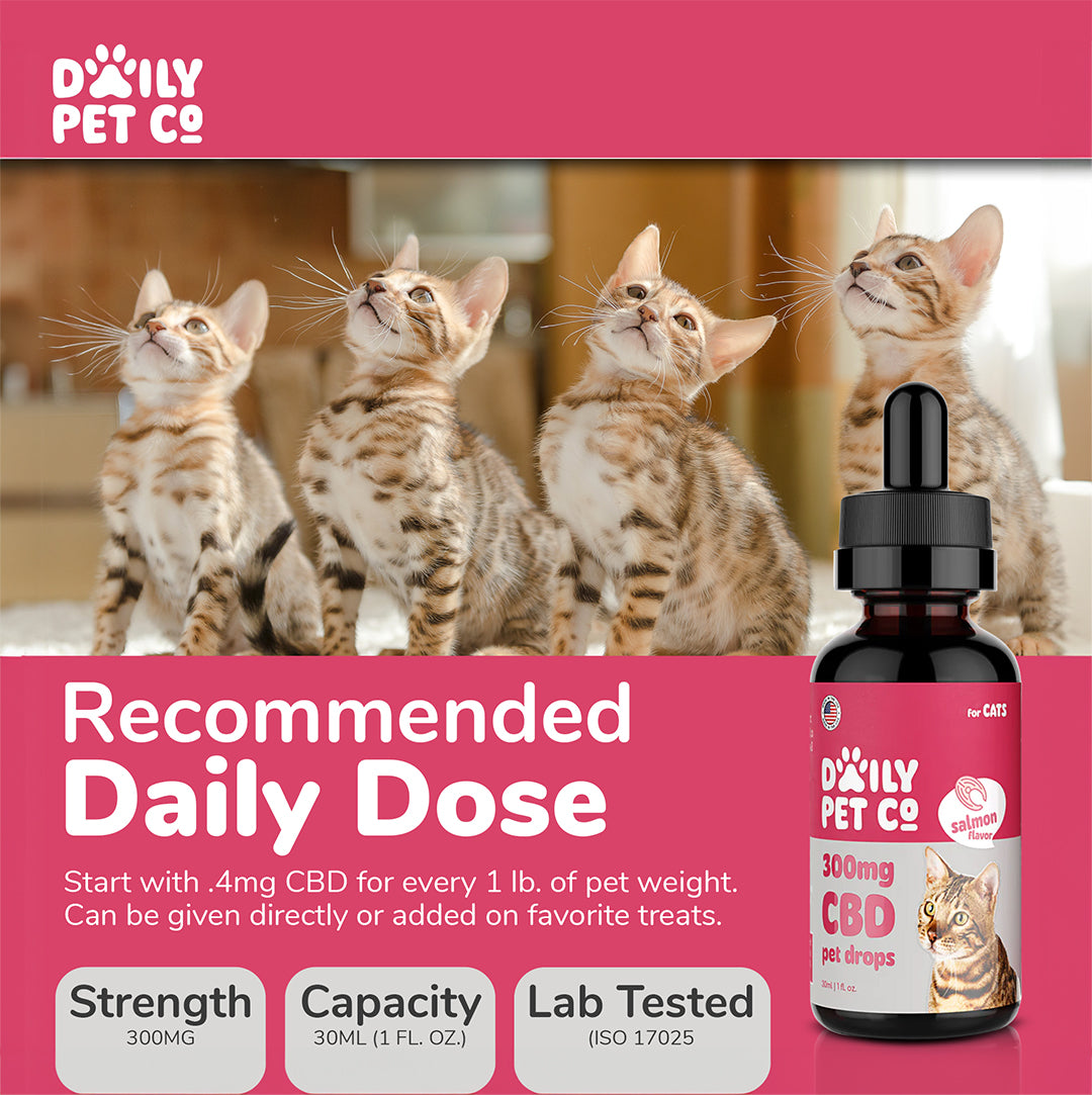 CBD Pet Drops for Cats - Salmon Flavored - 300mg