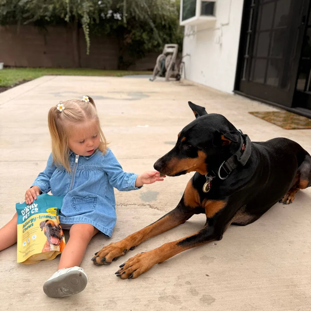 A toddler hands a Daily Pet Co. Allergy + Immune chew to a Doberman