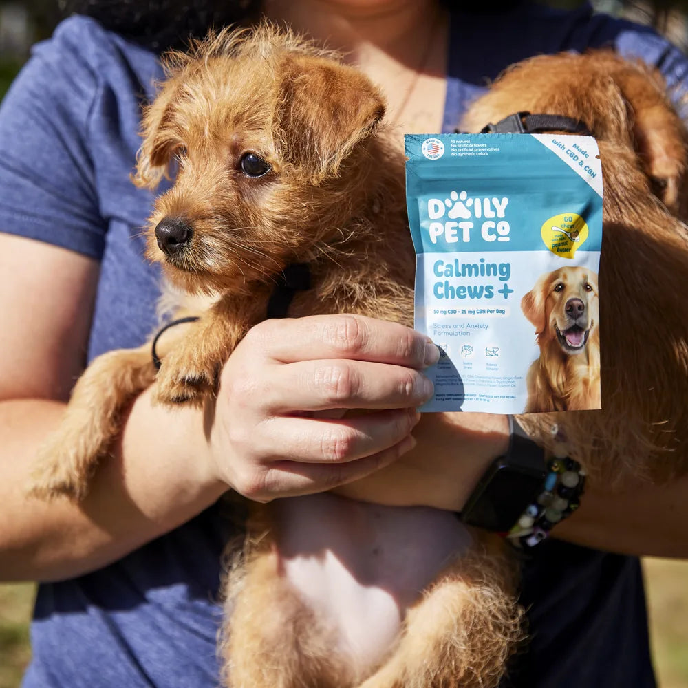 A fluffy puppy held next to a bag of Calming Chews+