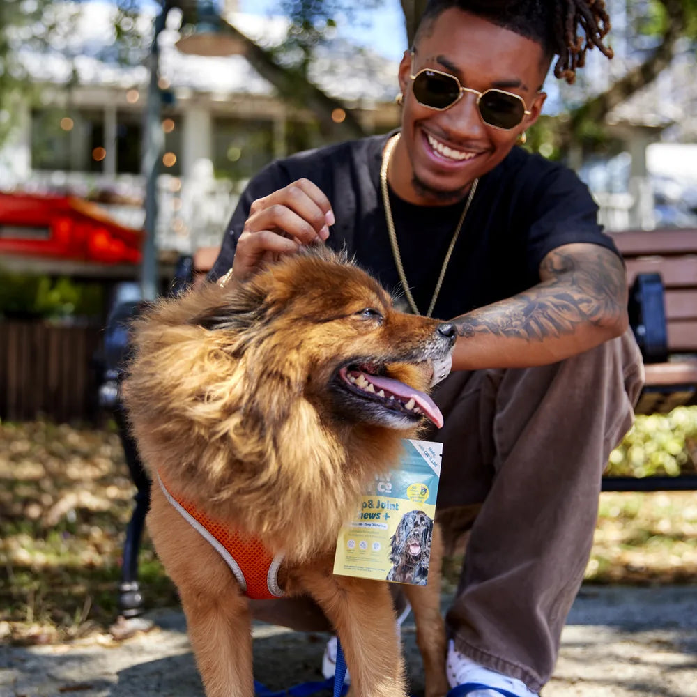 A smiling man pets his dog in the park beside a bag of Daily Pet Co. chews