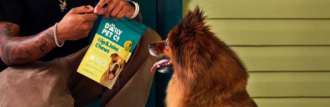 Handing a Daily Pet Co. chew to a dog on a porch