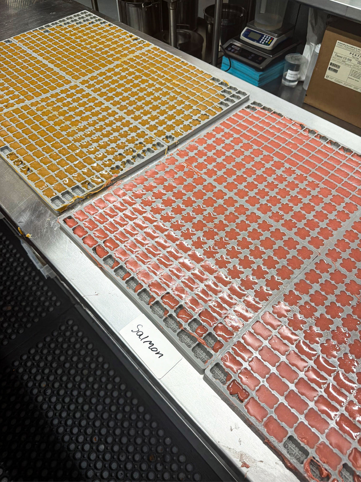 Gummies in production molds at our Costa Mesa facility