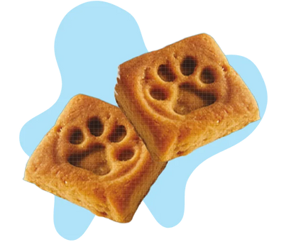 Soft Chews