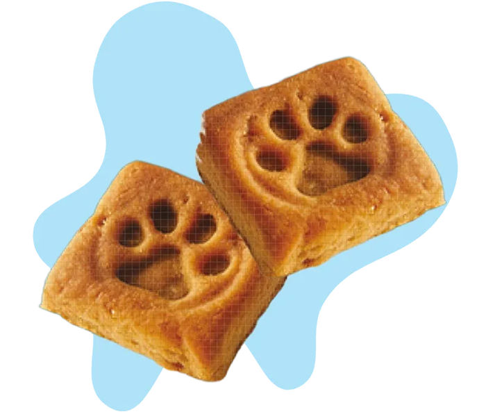 Soft Chews